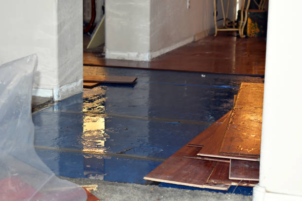 Professional Water Damage Restoration technician working in Beaumont, TX